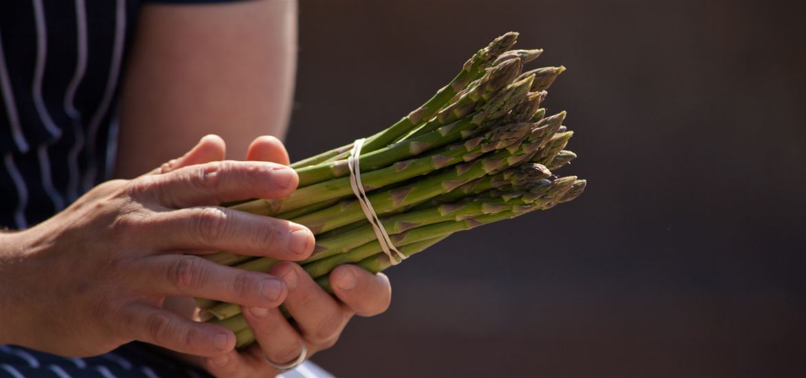 Asparagus on The Suffolk Coast