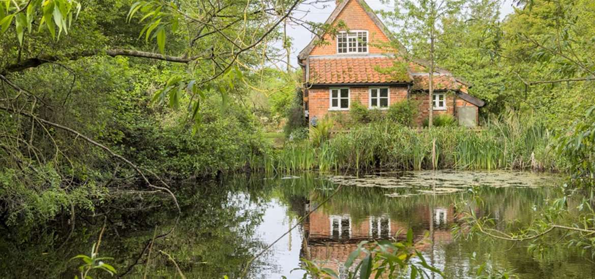 The big pond