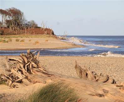 Covehithe (c) Suffolk Coast & Heaths AONB