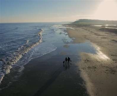 Covehithe beach in winter