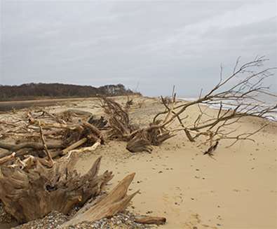Covehithe Beach - (c) Joshua Simpson Covehithe Beach - (c) Joshua Simpson