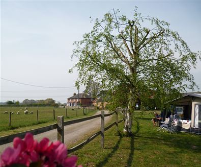 Croft Farm