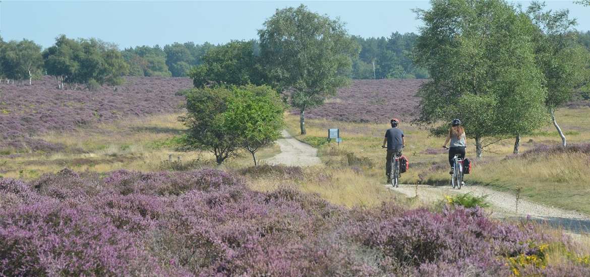 Cycle Breaks - cyclists on Dunwich Heath Suffolk