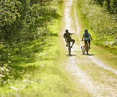 TTDA - Cycling - Tunstall Forest