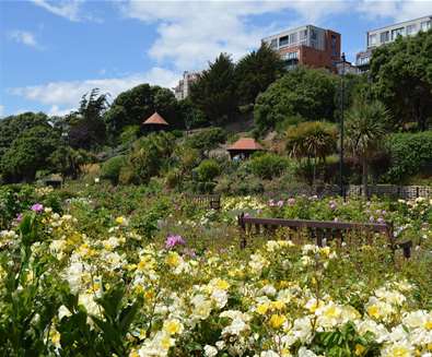 TTDA - Felixstowe Seafront Gardens - view of gardens