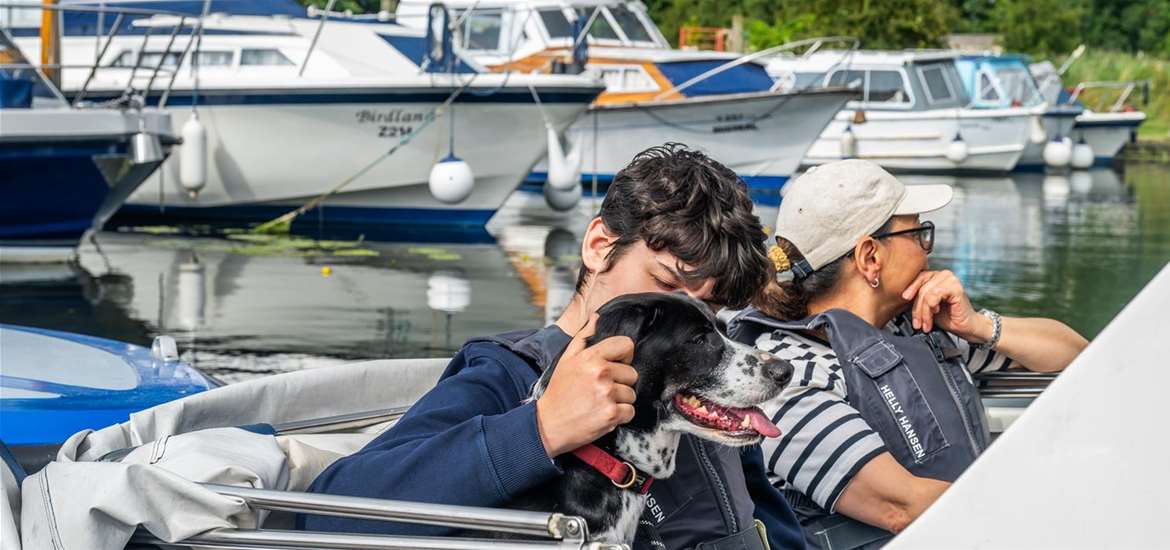 Dog on a day boat at Hippersons, Broads National Park
