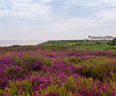 National Trust Dunwich Heath Coastguard Cottages - Gill Moon Photography National Trust Dunwich Heath Coastguard Cottages - Gill Moon Photography