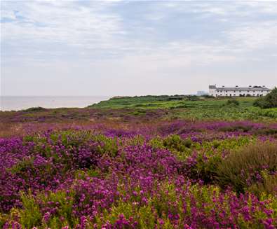 Dunwich Heath - The Suffolk Coast