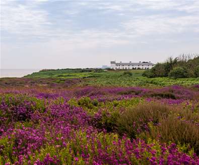 National Trust Dunwich Heath - (c) Gill Moon Photography