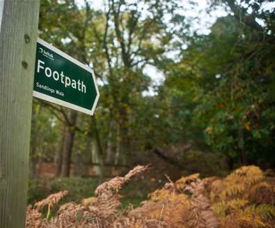 Dunwich Forest - Emily Fae Photography