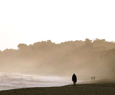 Dunwich Beach - (c) Habie Schwartz