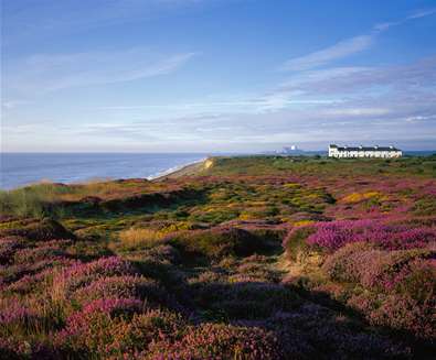 TTDA - Dunwich Heath - (c) Malcolm Farrow