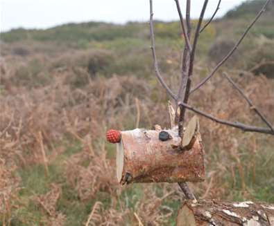 Christmas at Dunwich Heath and Beach