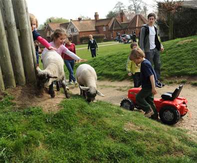 TTDA - Easton Farm Park - Children playing TTDA - Easton Farm Park - Children playing