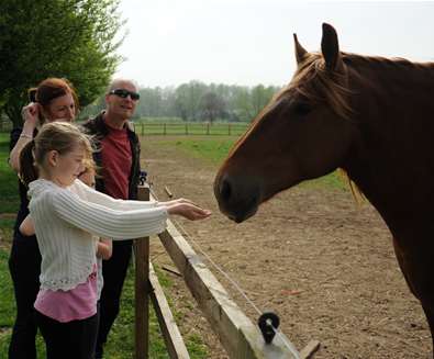TTDA - Easton Farm Park - family with horse