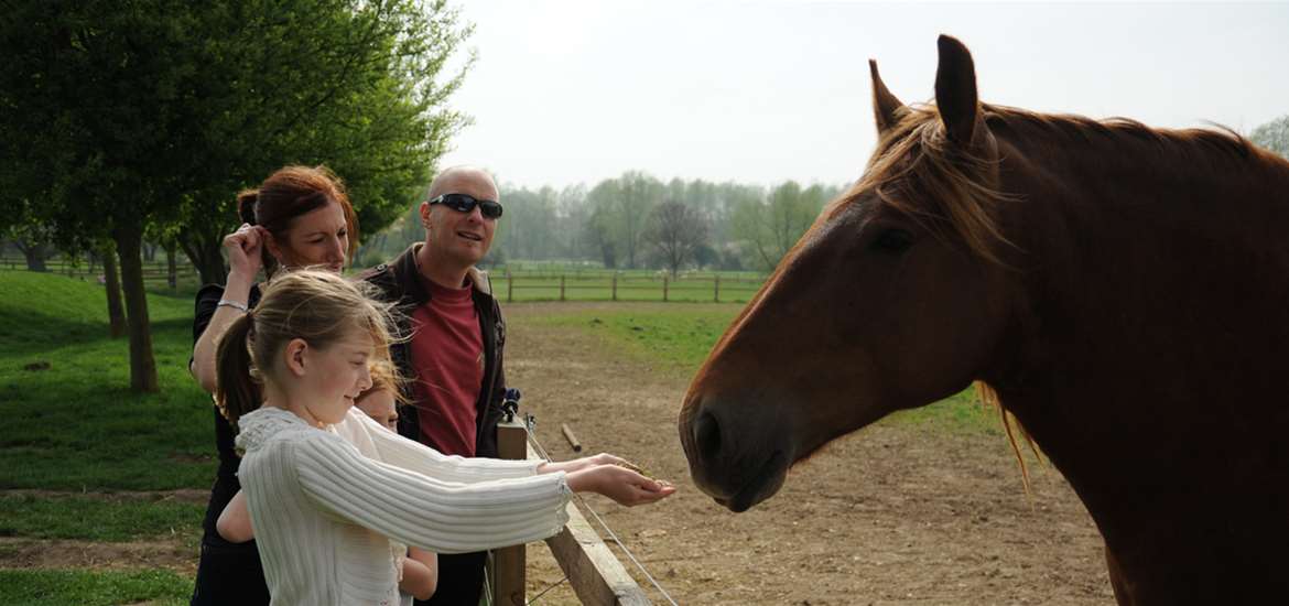 Family with a horse at Easton Farm Park