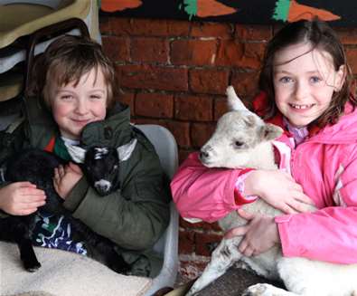 Easton Farm Park Kids with Lambs Easton Farm Park Kids with Lambs