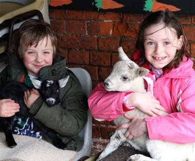 TTDA - Easton Farm Park - children holding goats TTDA - Easton Farm Park - children holding goats