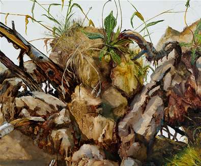 Julian Perry: The Foliate Bosses
