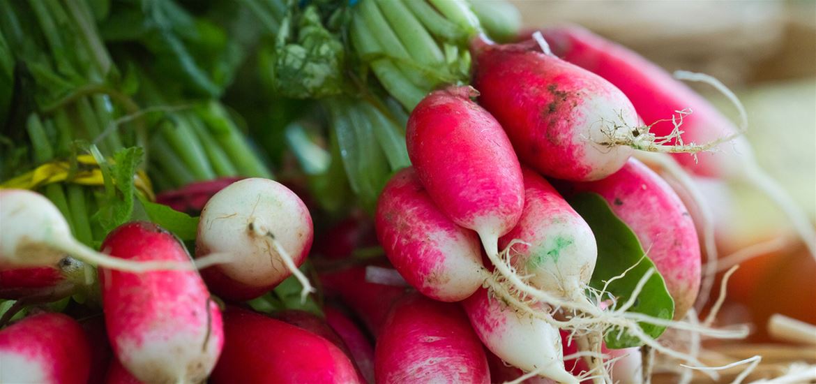 Farmers Markets on The Suffolk Coast - Radishes - (C) Bokeh Photographic