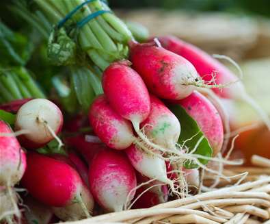 FD - Farmers Markets - (c) Bokeh Photographic FD - Farmers Markets - (c) Bokeh Photographic