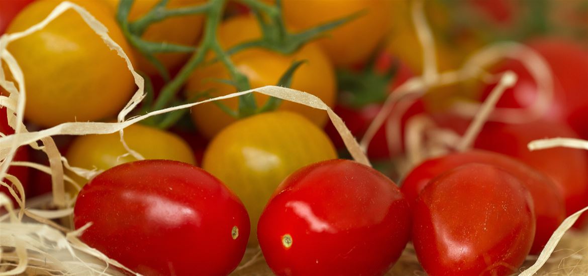 Farmers Markets on The Suffolk Coast - Tomatoes - (c) Bokeh Photographic