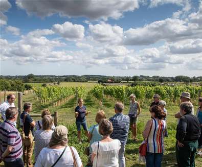 Flint Vineyard
