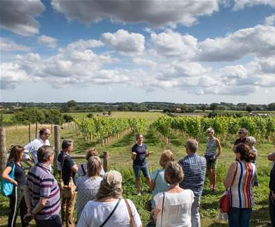 Flint Vineyard