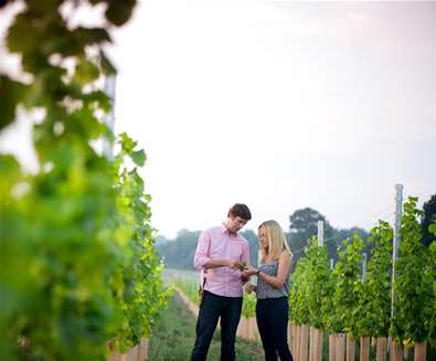 TTDA - Flint Vineyard - Hannah & Ben in Vineyard