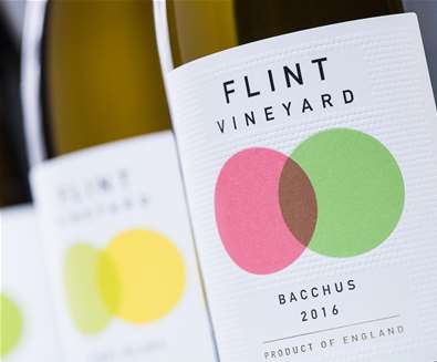 TTDA - Flint Vineyard - Bacchus TTDA - Flint Vineyard - Bacchus