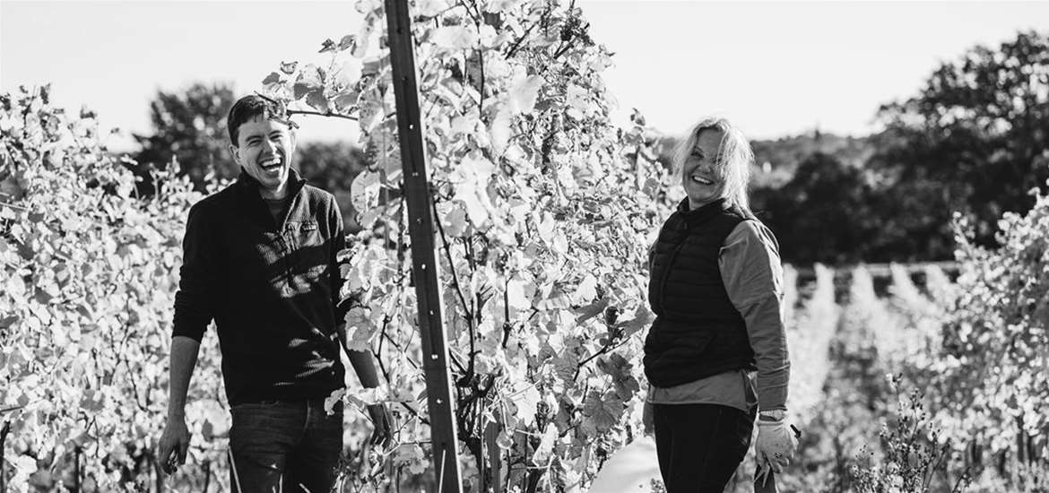 Harvesting with Wine Club members