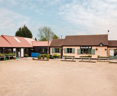 FD - Farm Cafe + Shop FD - Farm Cafe + Shop