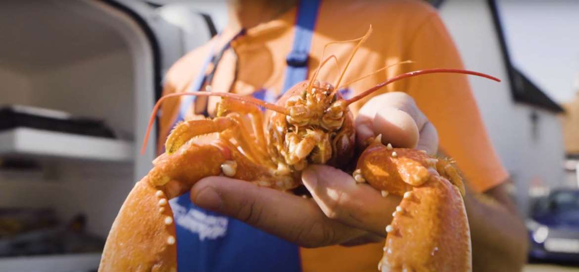 TTDA - East Suffolk Markets - Lobster