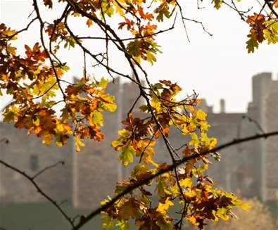 Unexplored England - Top places to see the autumn leaves