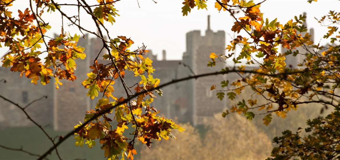 Framlingham Autumn 2015 Photography by Emily Fae-13