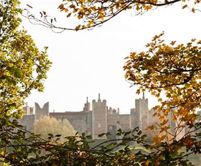 Framlingham Castle through the Trees - (c) Emily Fae Photography