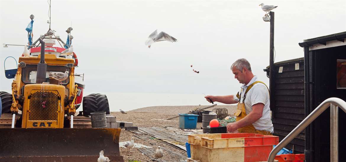 Fresh Fish on sale on Aldeburgh Beach - Suffolk Coast