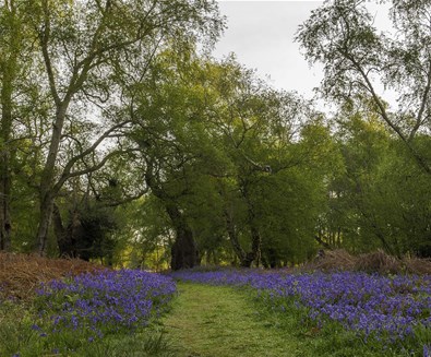 Suffolk Coast Spring Bucket List
