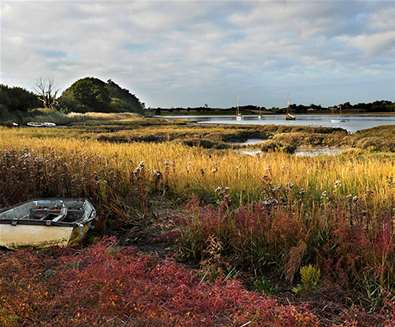 Blogs - The Dig - Deben Peninsula (c) Gill Moon Photography