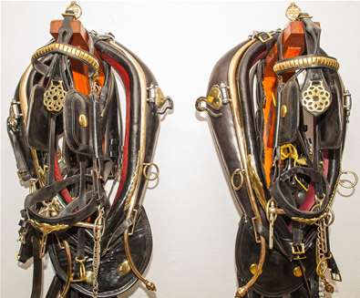 Suffolk Punch Trust Harness Suffolk Punch Trust Harness