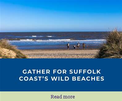 Wild Beaches