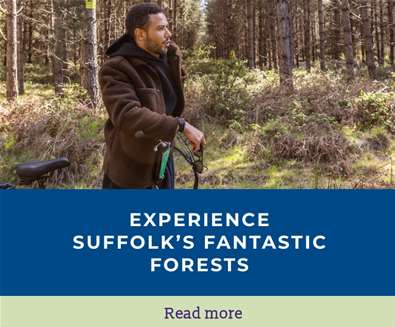 Suffolks fantastic forests