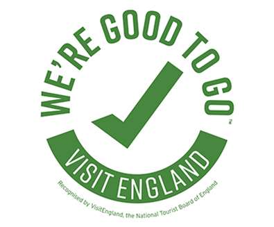 Good to Go Logo Good to Go Logo