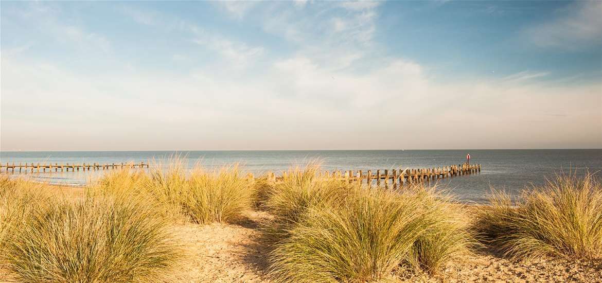 Gunton Warren - Gill Moon Photo