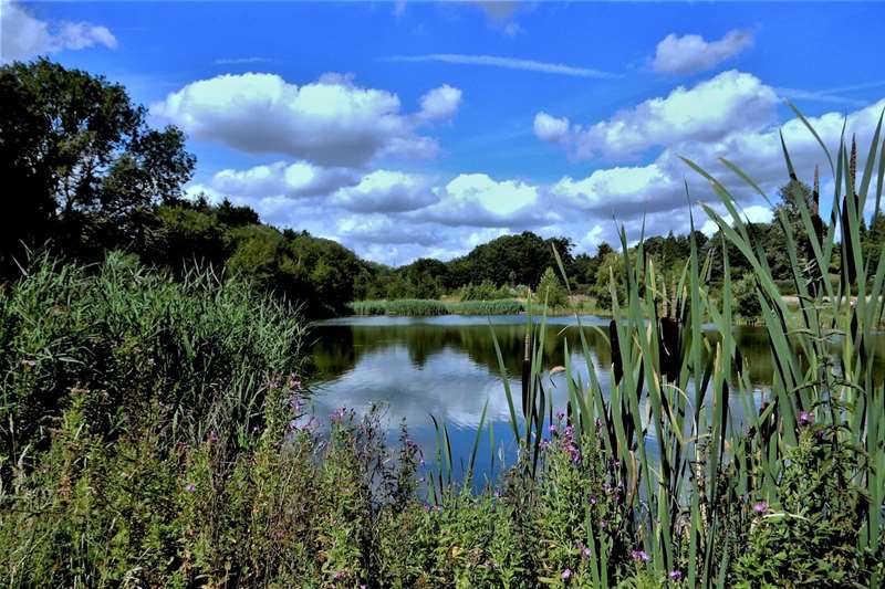 Towns & Villages - halesworth - fishing lakes