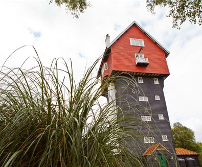 House in the Clouds with Plants