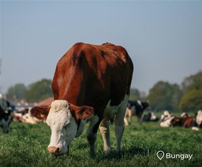 FEN FARM IAMGE