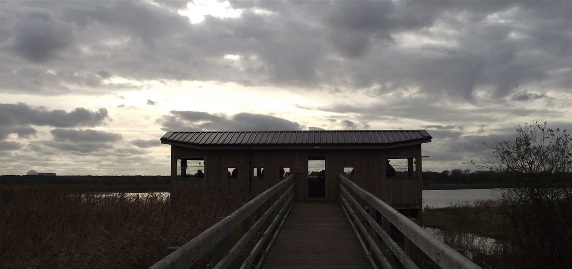 RSPB Minsmere 2 - Attraction - Nature and Wildlife