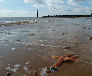 Articles - Top 5 Places to Watch the Sunrise - Landguard Nature Reserve