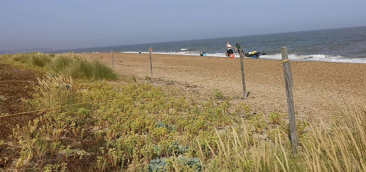Landguard Nature Reserve